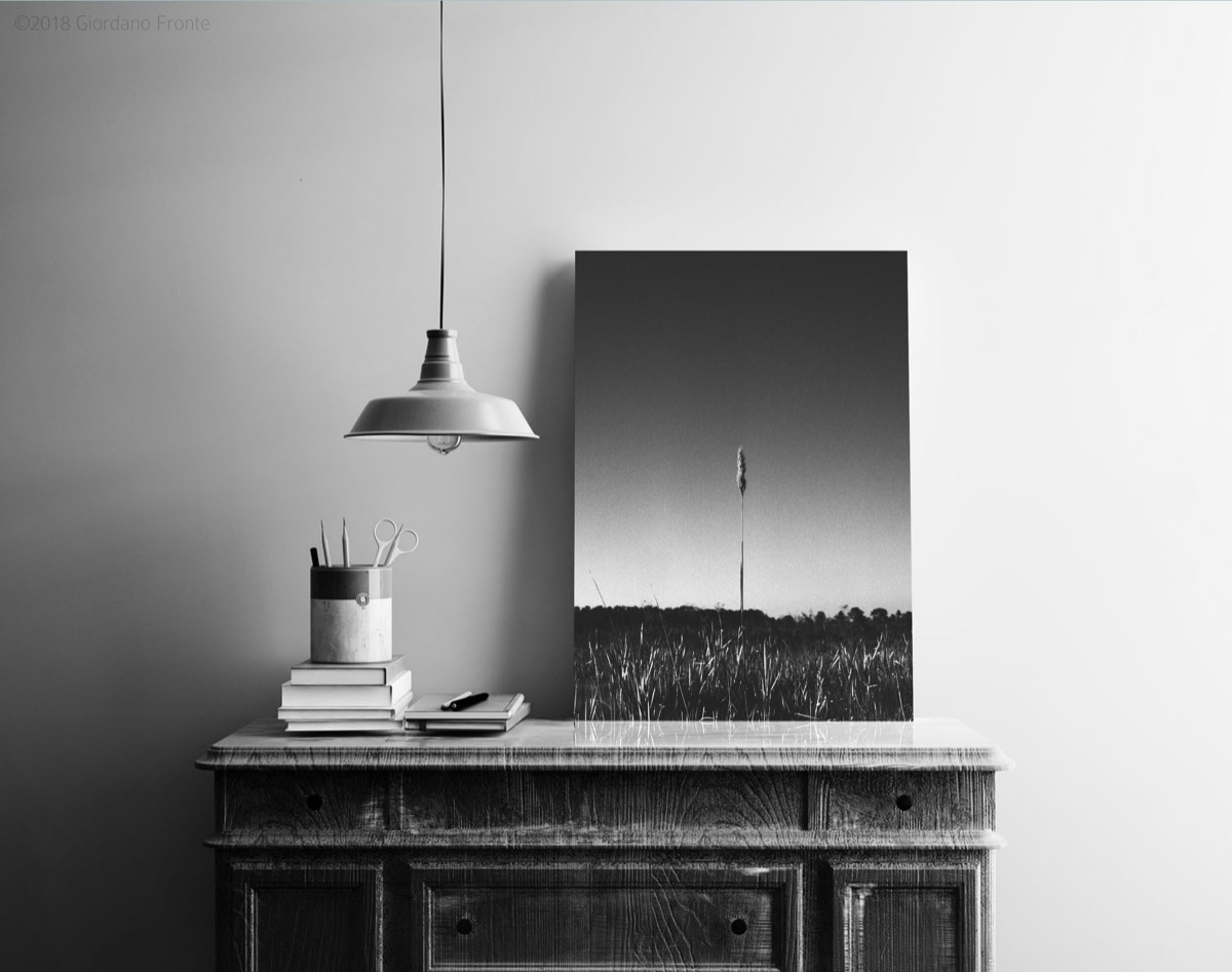 Visual Geometry