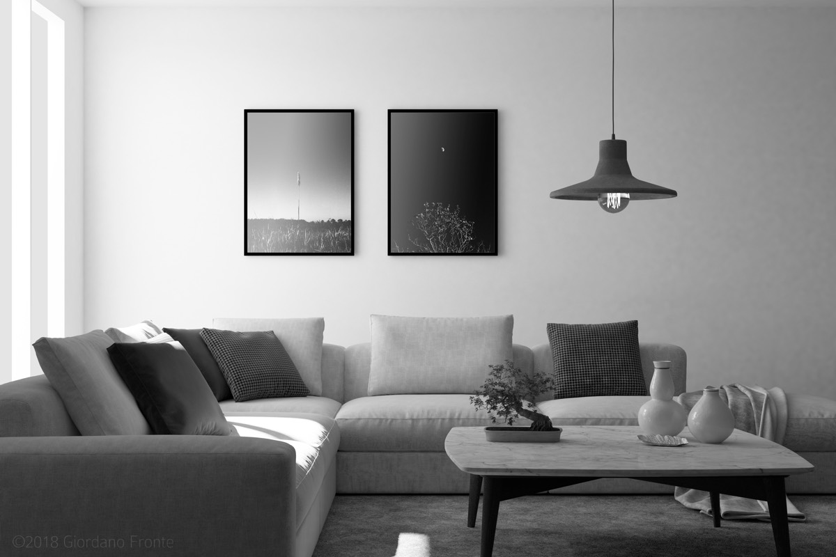 Visual Geometry