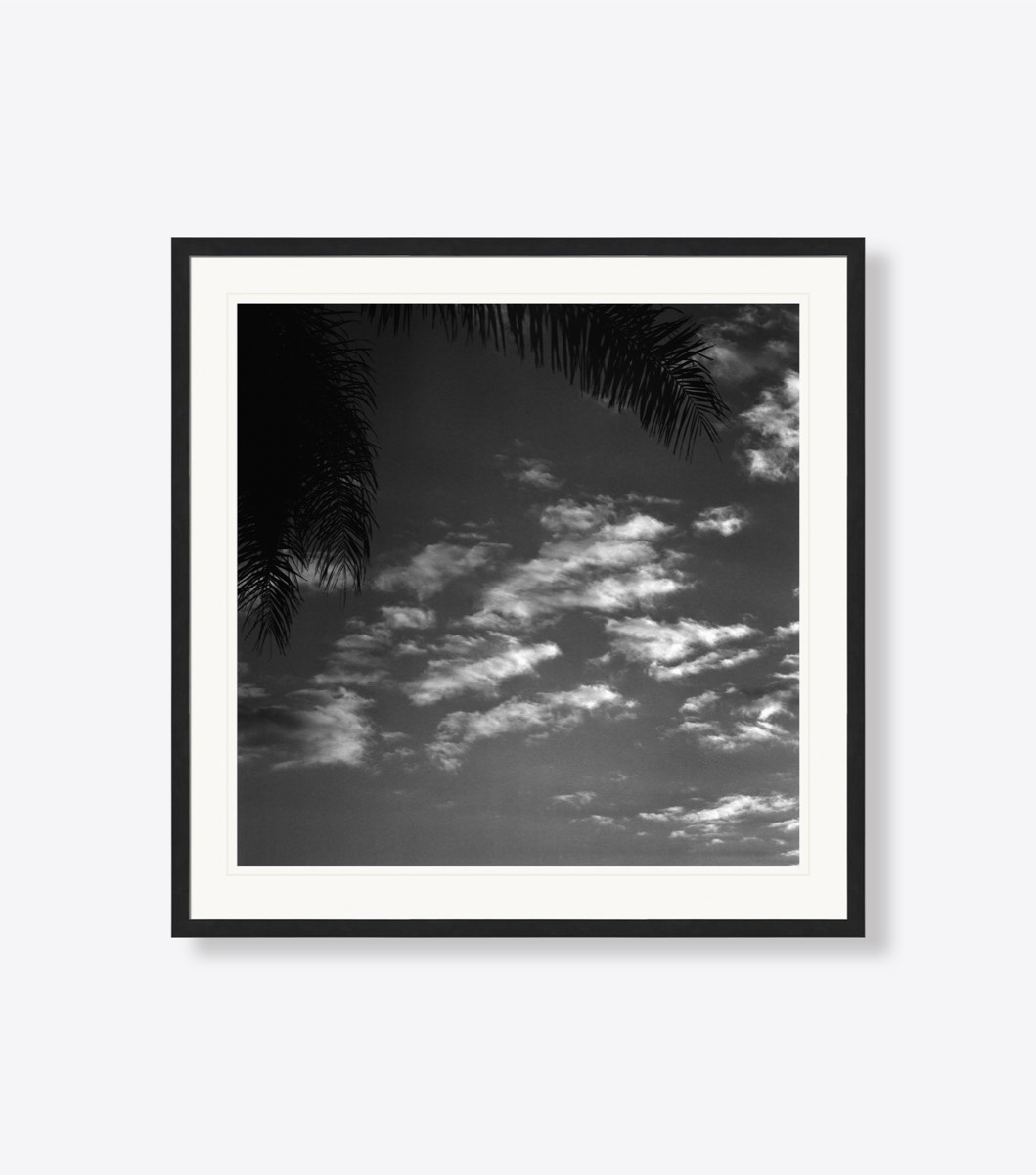 Symmetrical Texture
