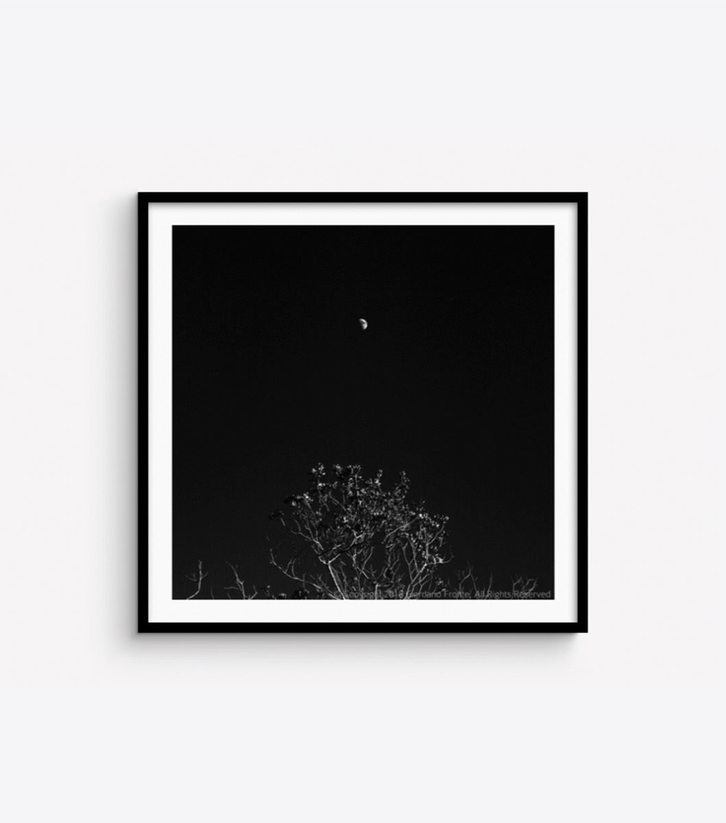 Dark Daylight