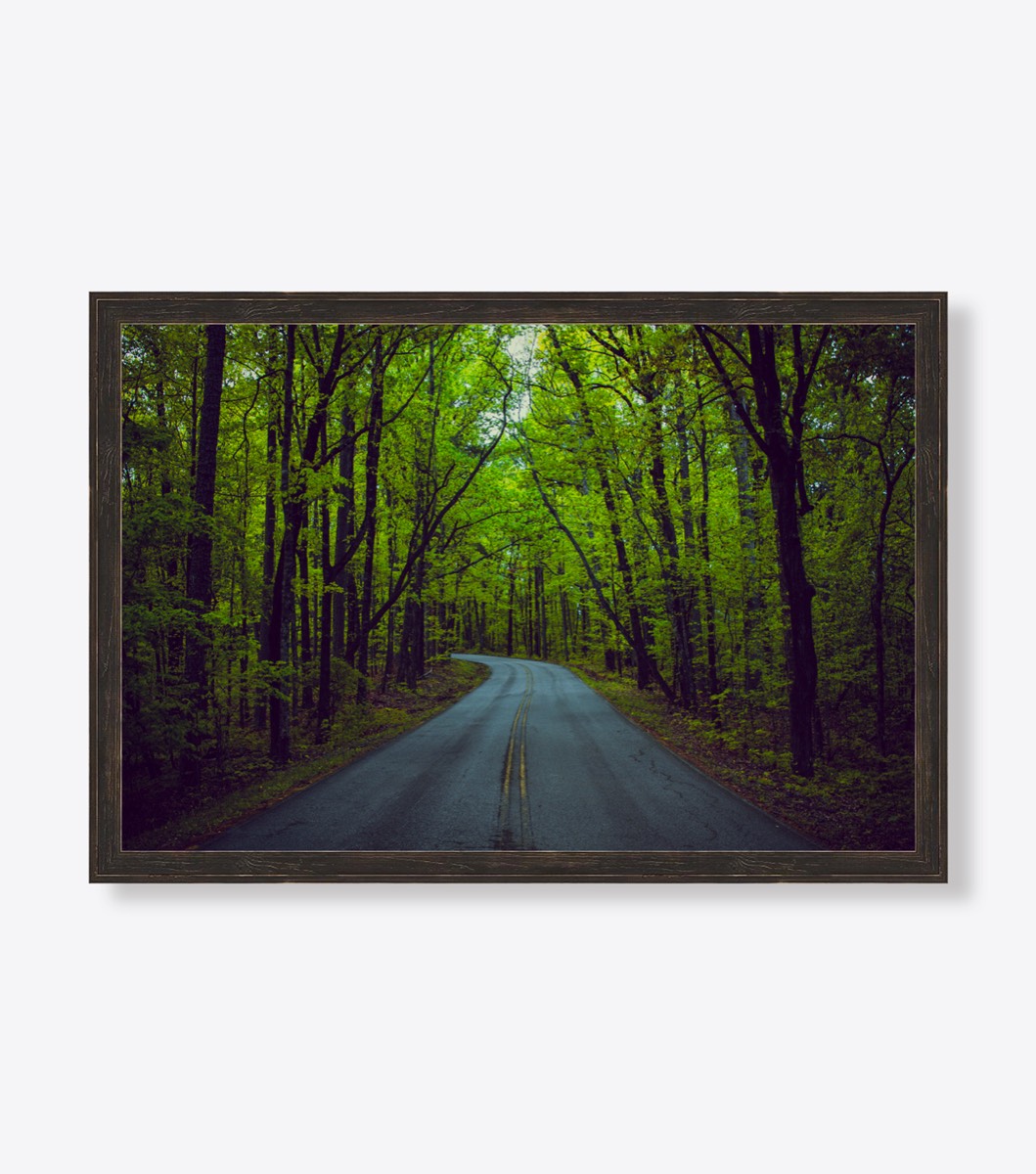 Table Rock Rd