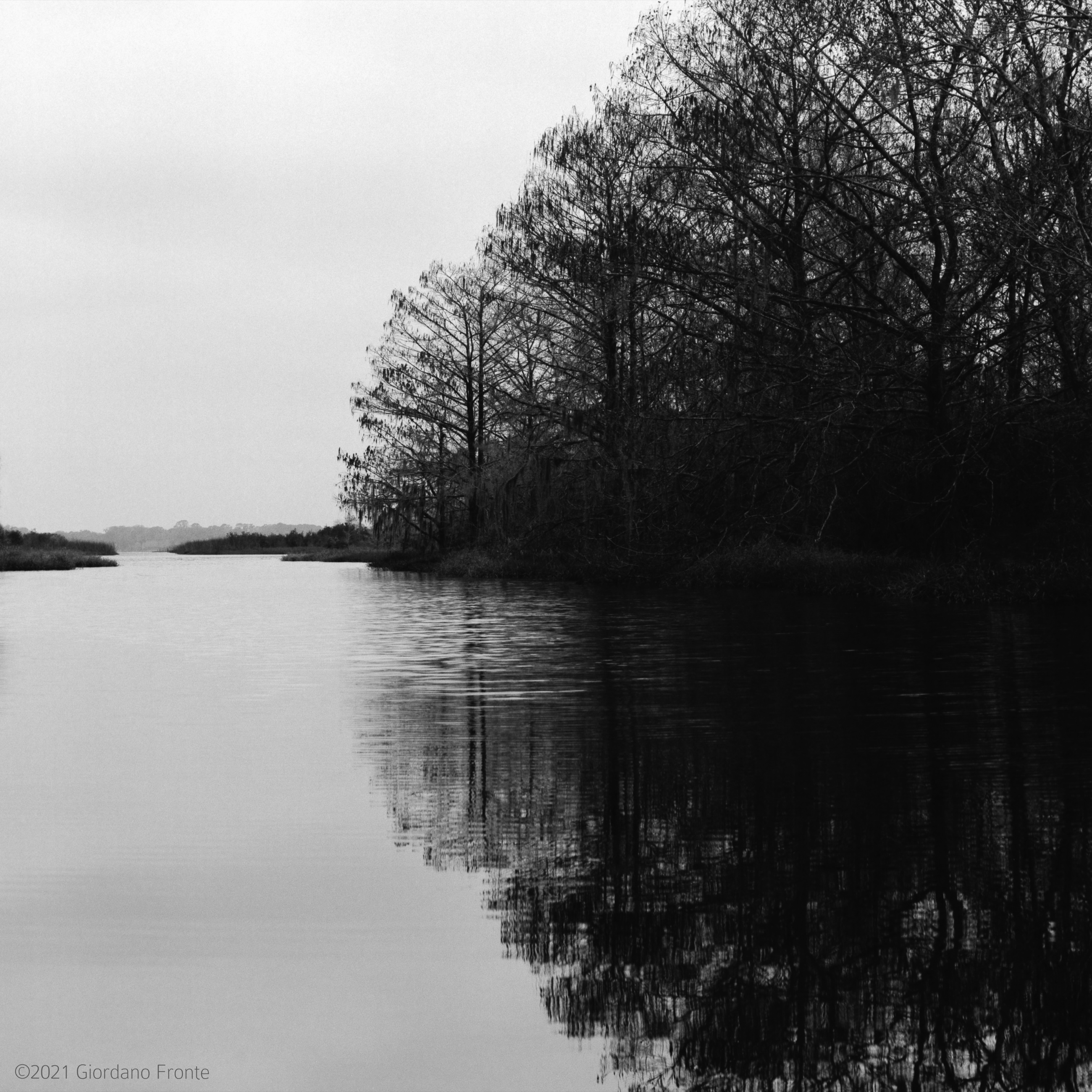 Black and white lake scene — full 6×6 negative