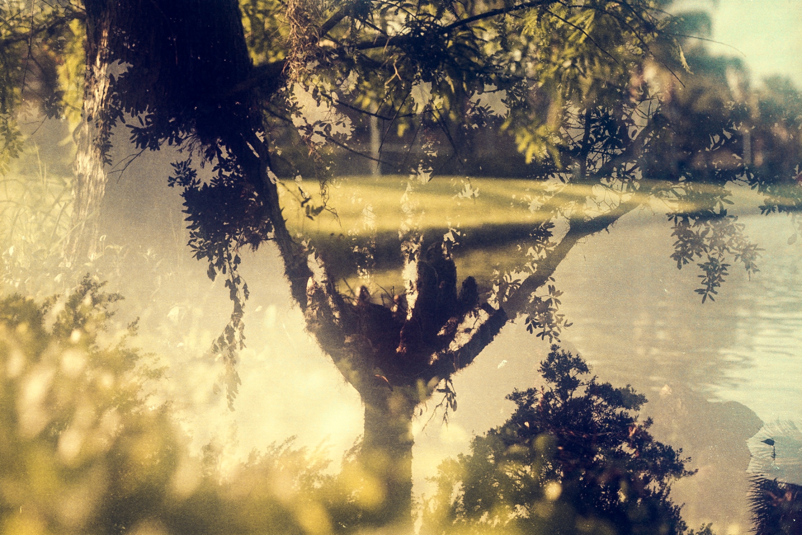 35MM Photo Reel 2016