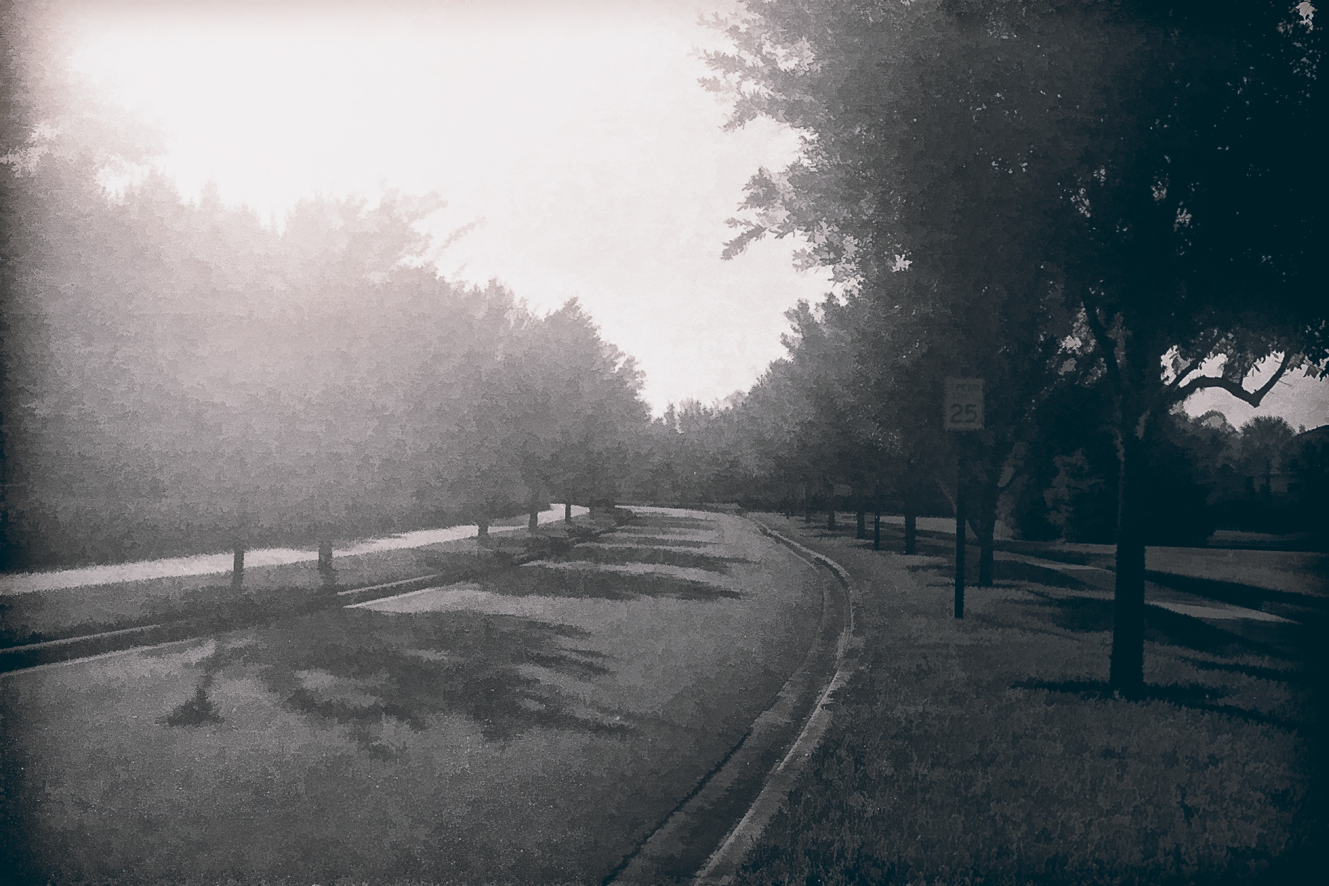 35MM Photo Reel 2016